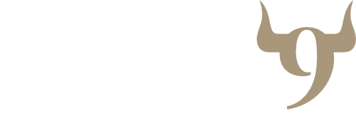 ninebullsusa.com